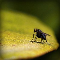 /album/bardehasoft/photolia-a07-jpg/